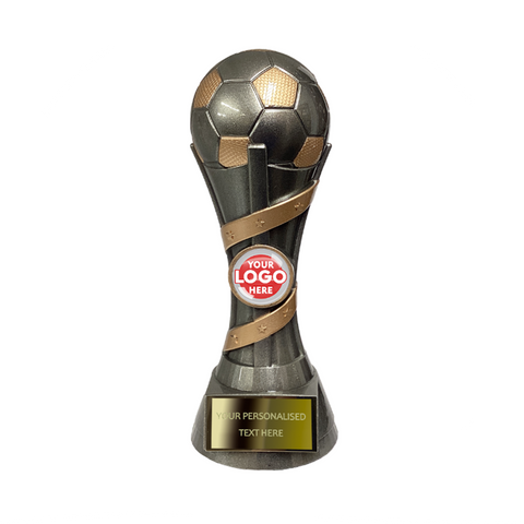 Football Silver and Gold Trophy with Stars Decoration (FP04A)